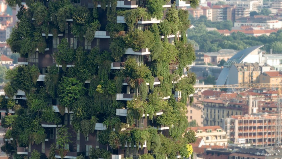 As torres biológicas transformam um ambiente denso e poluído em um ecossistema vibrante — Foto: Dimitar Harizanov / Divulgação