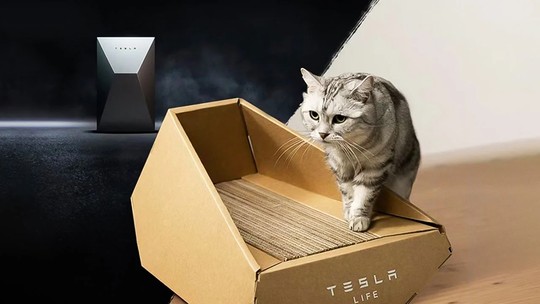 Tesla lança caixa para gatos com design inspirado em caminhonete tecnológica