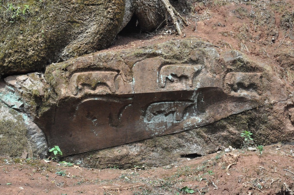 A paisagem cultural Gedeo, na Etiópia, traz monumentos e florestas sagrados — Foto: Yonas Beyene / Divulgação