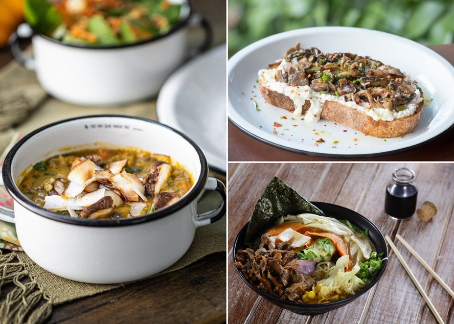 8 receitas vegetarianas fáceis de fazer com shimeji Gastronomia