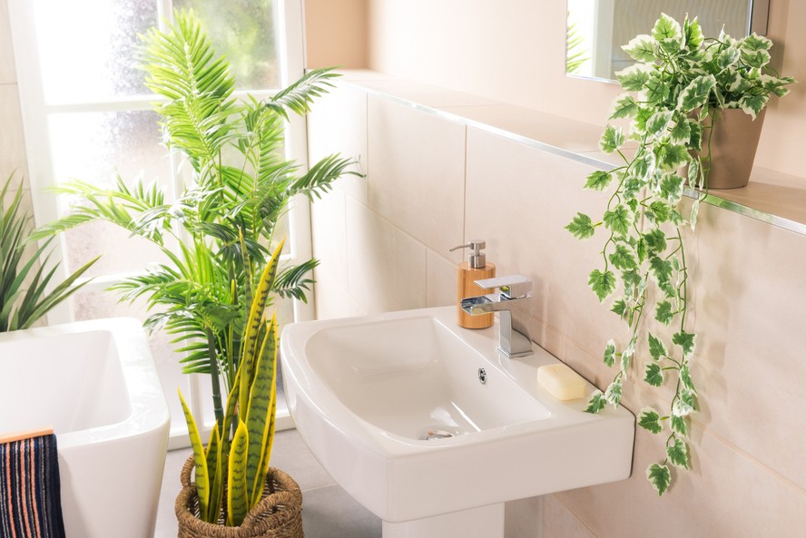 Apesar de banheiros comumente receberem menos luz e apresentarem muita umidade, há espécies de plantas que prosperam no ambiente