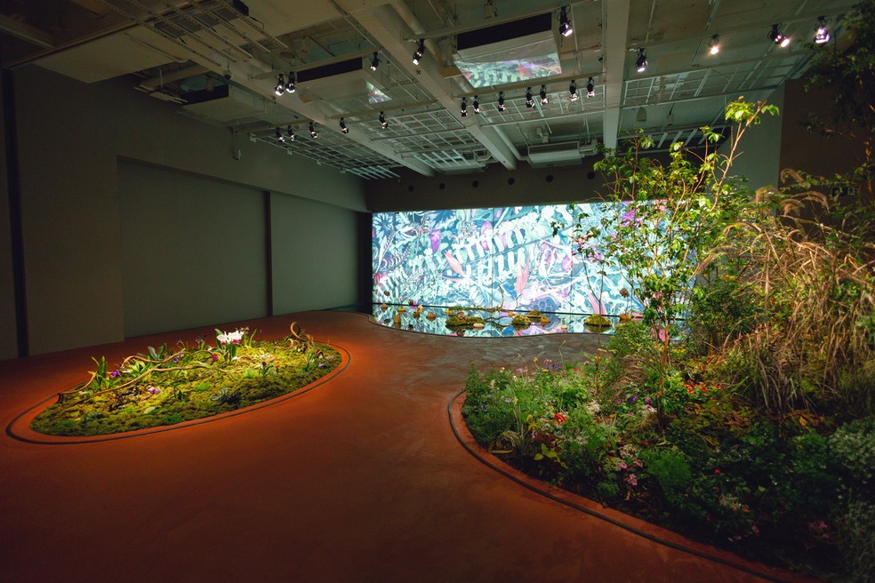 A exposição gratuita na Japan House, na Avenida Paulista, explora desejo do artista de reconectar o humano à natureza — Foto: Divulgação / Estevam Romena 