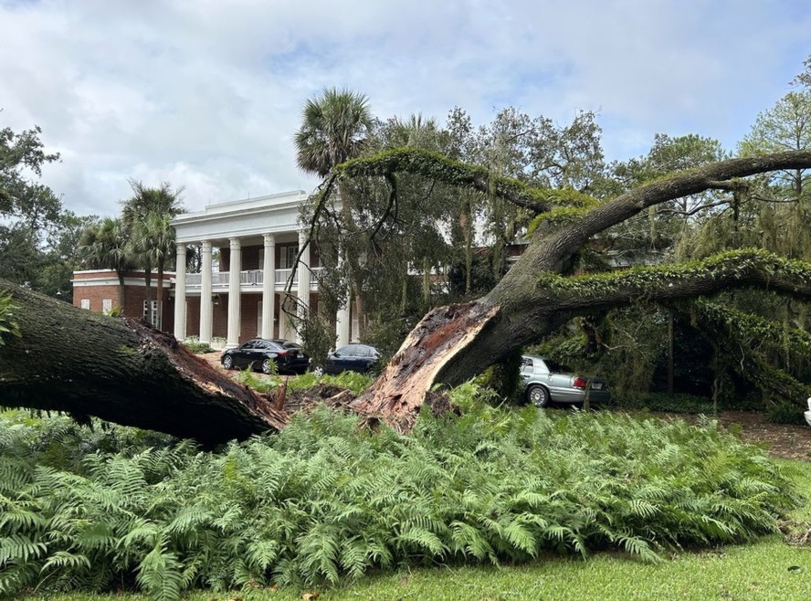 Um carvalho gigantesco se partiu ao meio e caiu na mansão do governador da Flórida, Ron DeSantis