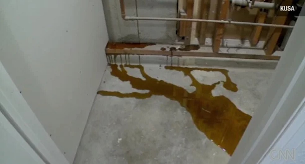 A nova dona de uma casa nos EUA levou um susto com o líquido pegajoso que saía das paredes — Foto: CNN / Reprodução