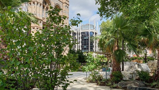 Museu de Londres recria "jardim dos dinossauros" com muitas plantas