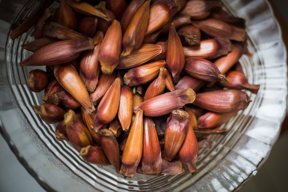O pinhão é considerado um alimento funcional por ser capaz de acelerar o metabolismo e diminuir o colesterol  — Foto: Getty Images