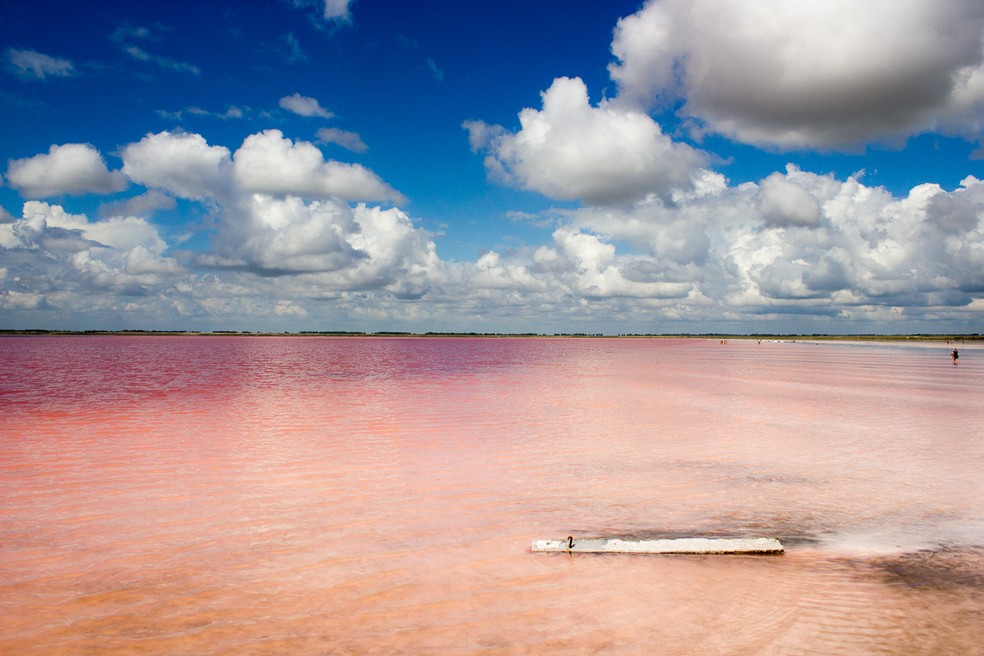 Burlinskoe, o lago rosa da Sibéria, tem alta concentração de sal que impede afundar em suas águas — Foto: Wikimedia / Coopypasted / Creative Commons