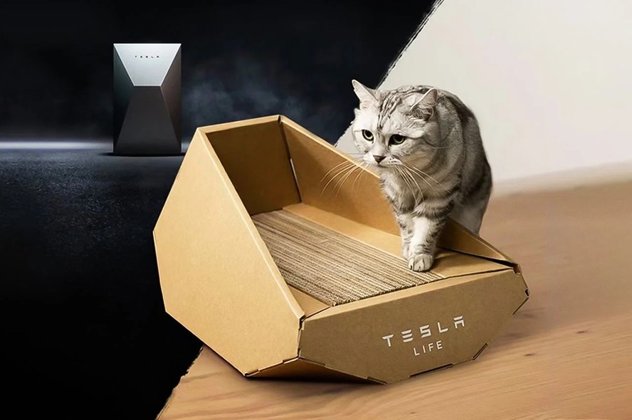 A marca de carros tecnológicos Tesla produziu uma caixa para gatos que pode servir para diversão ou descanso