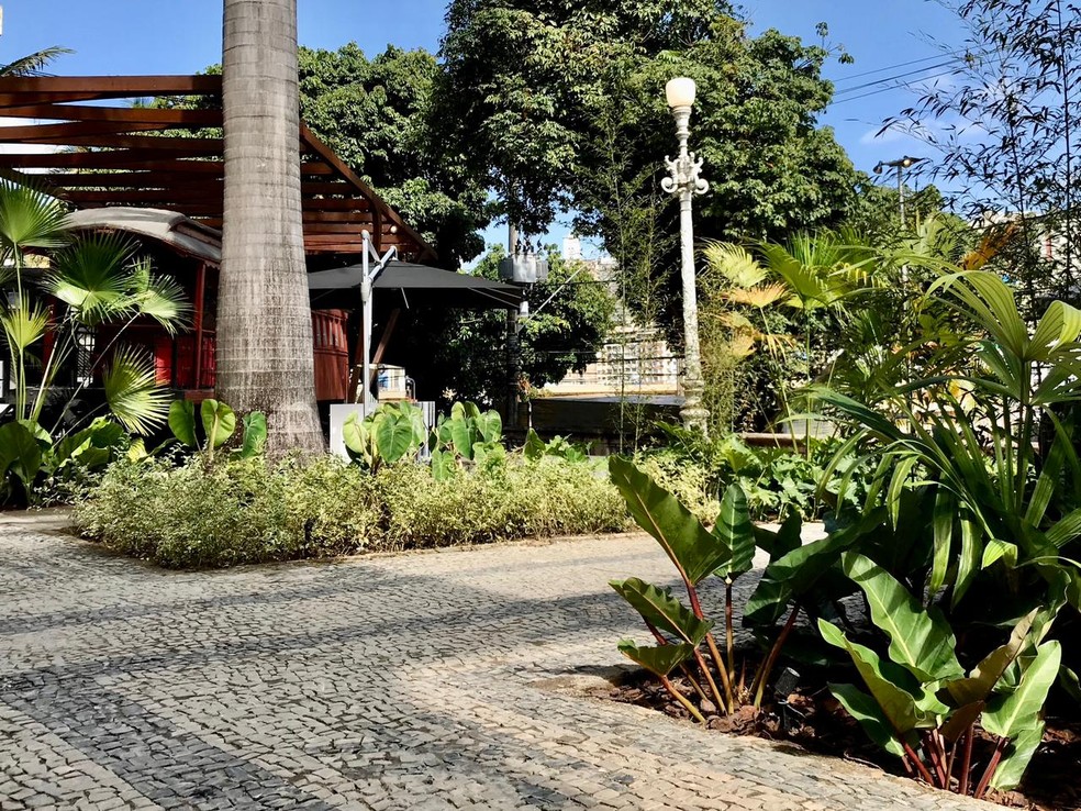 Na foto, o jardim projetado pelo arquiteto-paisagista Felipe Fontes recebeu cavaco como cobertura — Foto: Arquivo Pessoal / Felipe Fontes