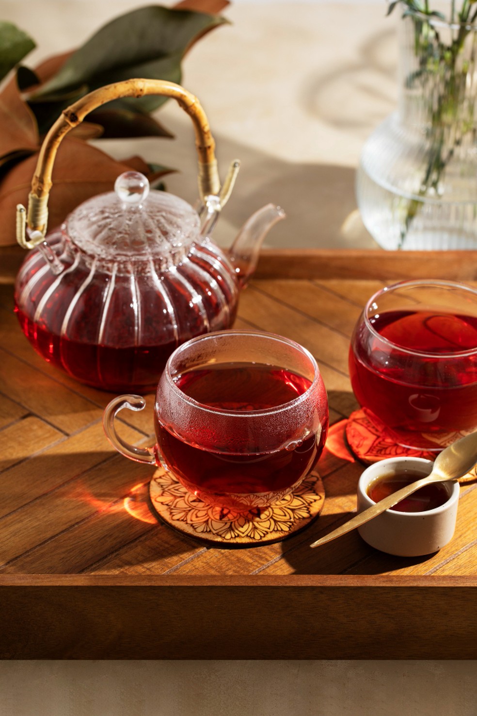 Chá de rooibos: conheça a história da infusão sul-africana