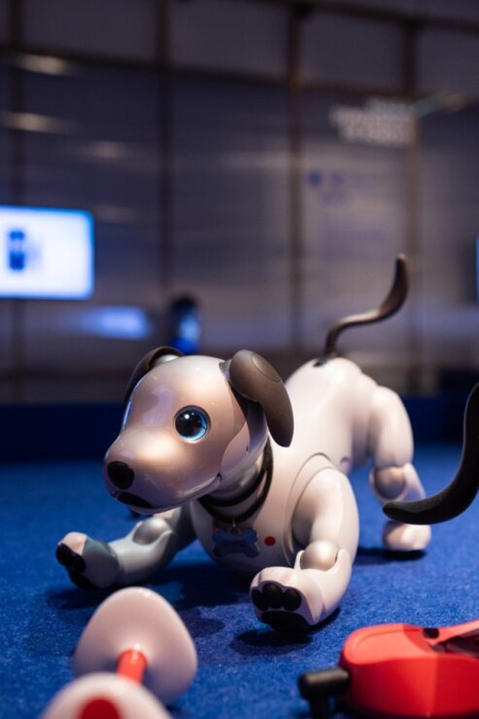 A mostra apresenta 11 robôs em quatro categorias: colegas de trabalho, companheiros, comunicativos e os que ajudam os humanos — Foto: Marina Melchers / Divulgação