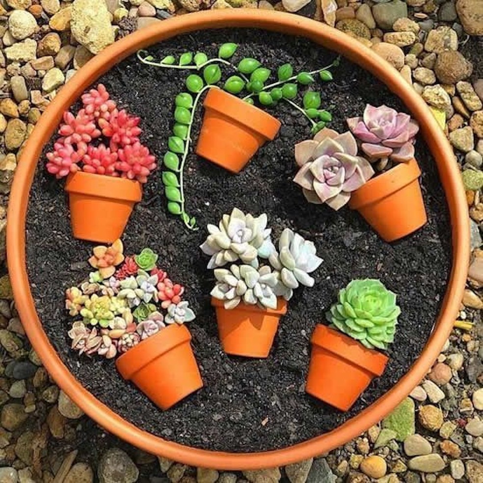 Dá para usar vários mini vasos para criar um pequeno cenário de suculentas — Foto: Pinterest / Solteiras Noivas Casadas / Reprodução