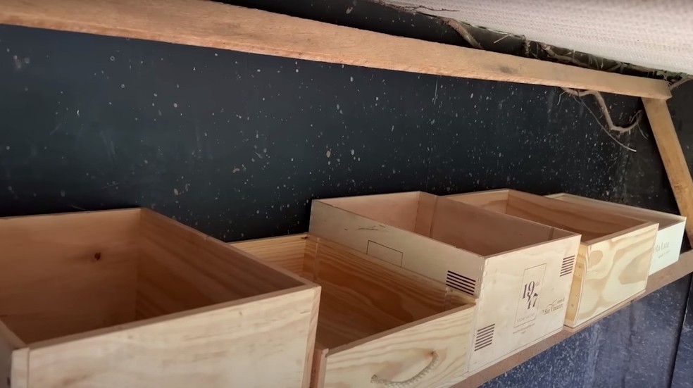 Apresentadora aproveitou caixas de vinho para fazer os ninhos das galinhas — Foto: Divulgação