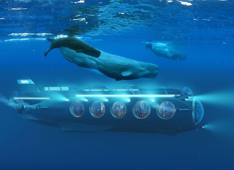 Marie Festa: comprar mais barato no Submarino