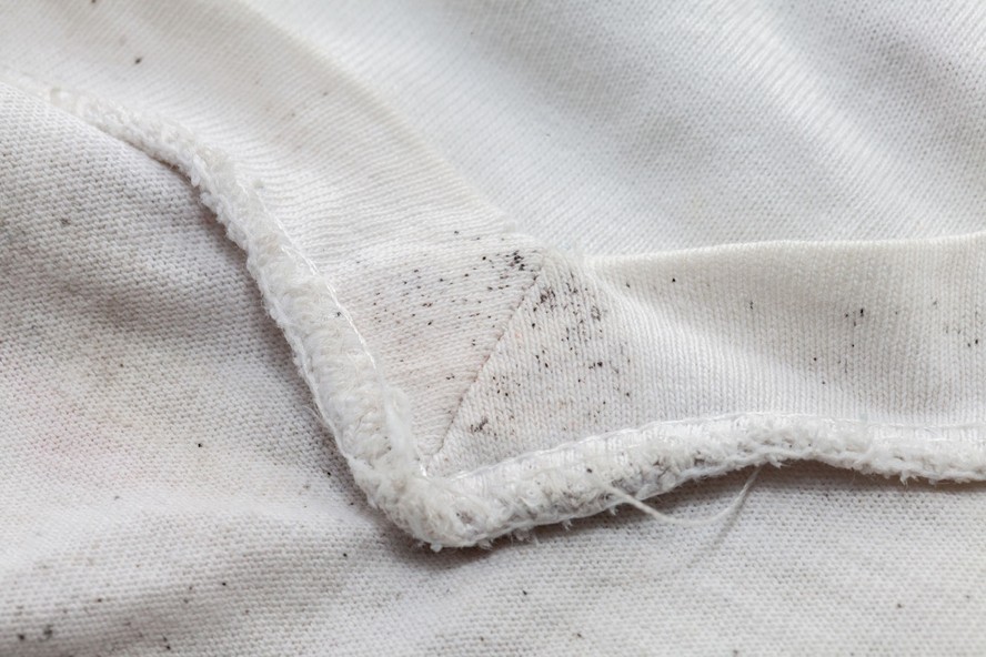 Roupas de inverno, geralmente guardadas por muito tempo, são as mais propensas ao surgimento de bolor