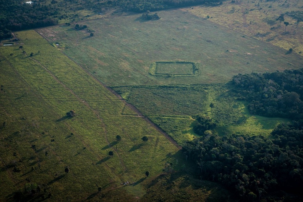 As imagens aéreas mostram extensos geoglifos e alterações na paisagem amazônica que correspondem a aldeias fortificadas, estruturas de defesa e cerimoniais e assentamentos em topos de montanha — Foto: Diego Lourenço Gurgel / Divulgação