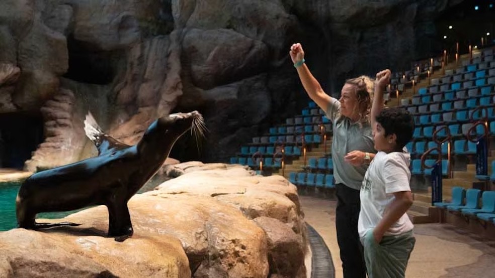 O colossal SeaWorld Abu Dhabi abriga mais de 100 mil animais marinhos — Foto: Sea World Abu Dhabi / Divulgação