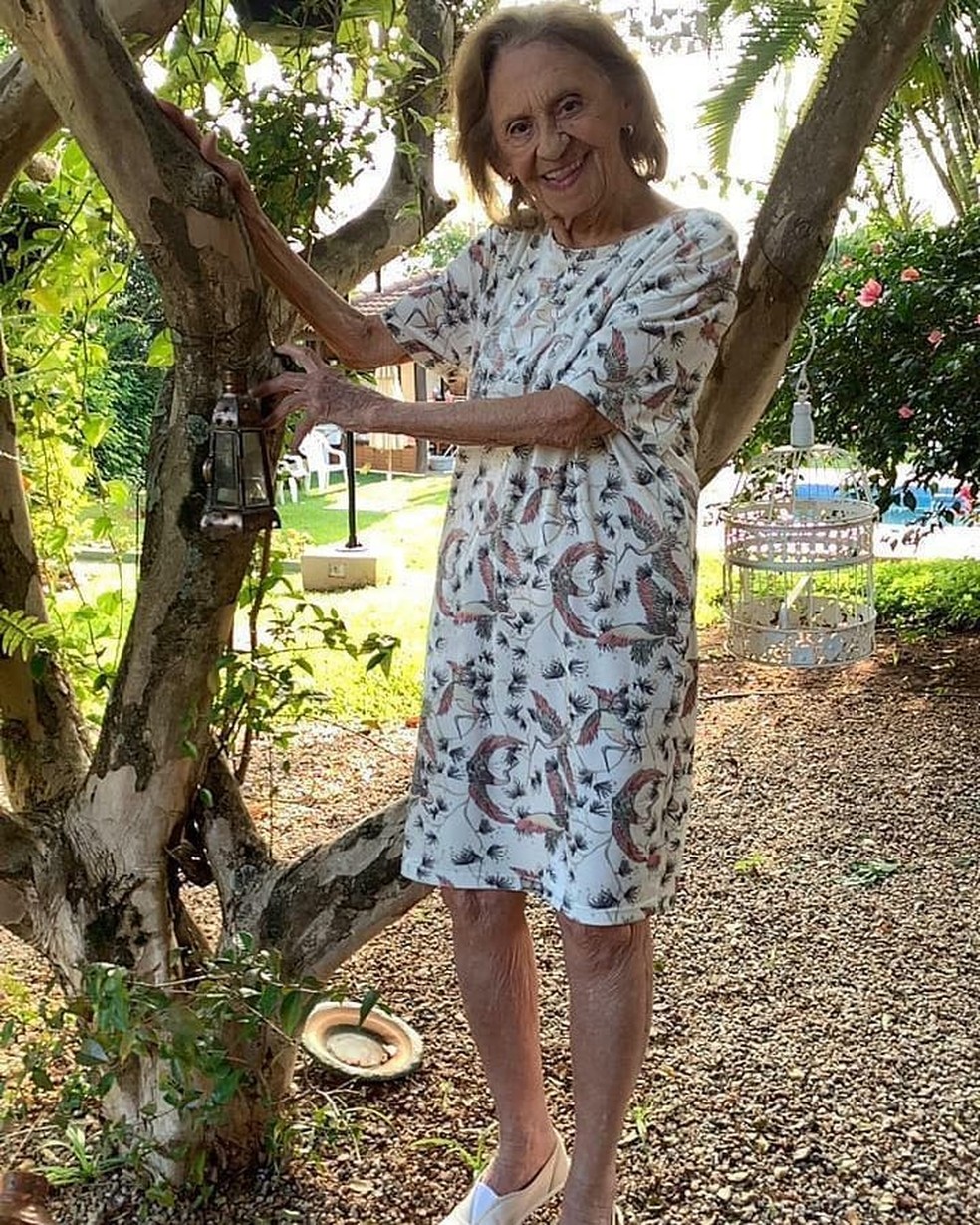 Laura Cardoso faz registro ao lado de uma das árvores do sítio — Foto: João Passos @joaopassosfotografo / Instagram / Reprodução