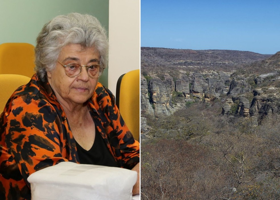 A nova espécie homenageia Niède Guidón (à esquerda), arqueóloga extremamente importante para a identificação e o estudo do Sítio Arqueólogico da Serra da Capivara (foto à direita) — Foto: Ministério da Cultura/Elisabete Alves/Wikimedia Commons | Montagem: Casa e Jardim