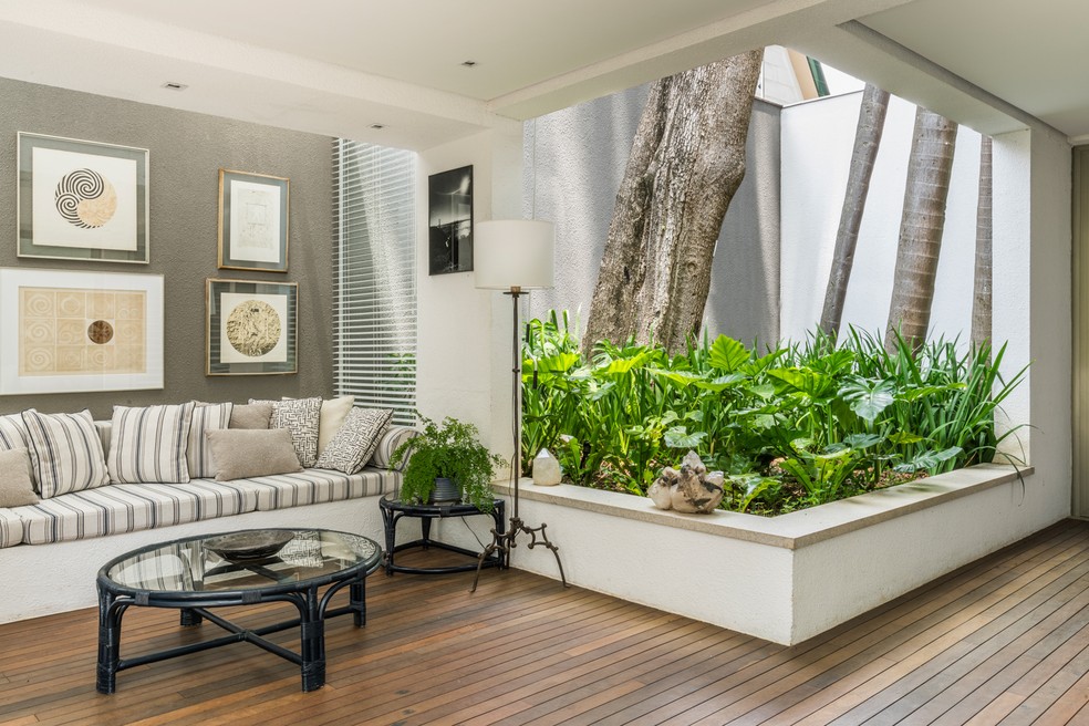 Tropicalidade e estante para orquídeas marcam jardim de apartamento