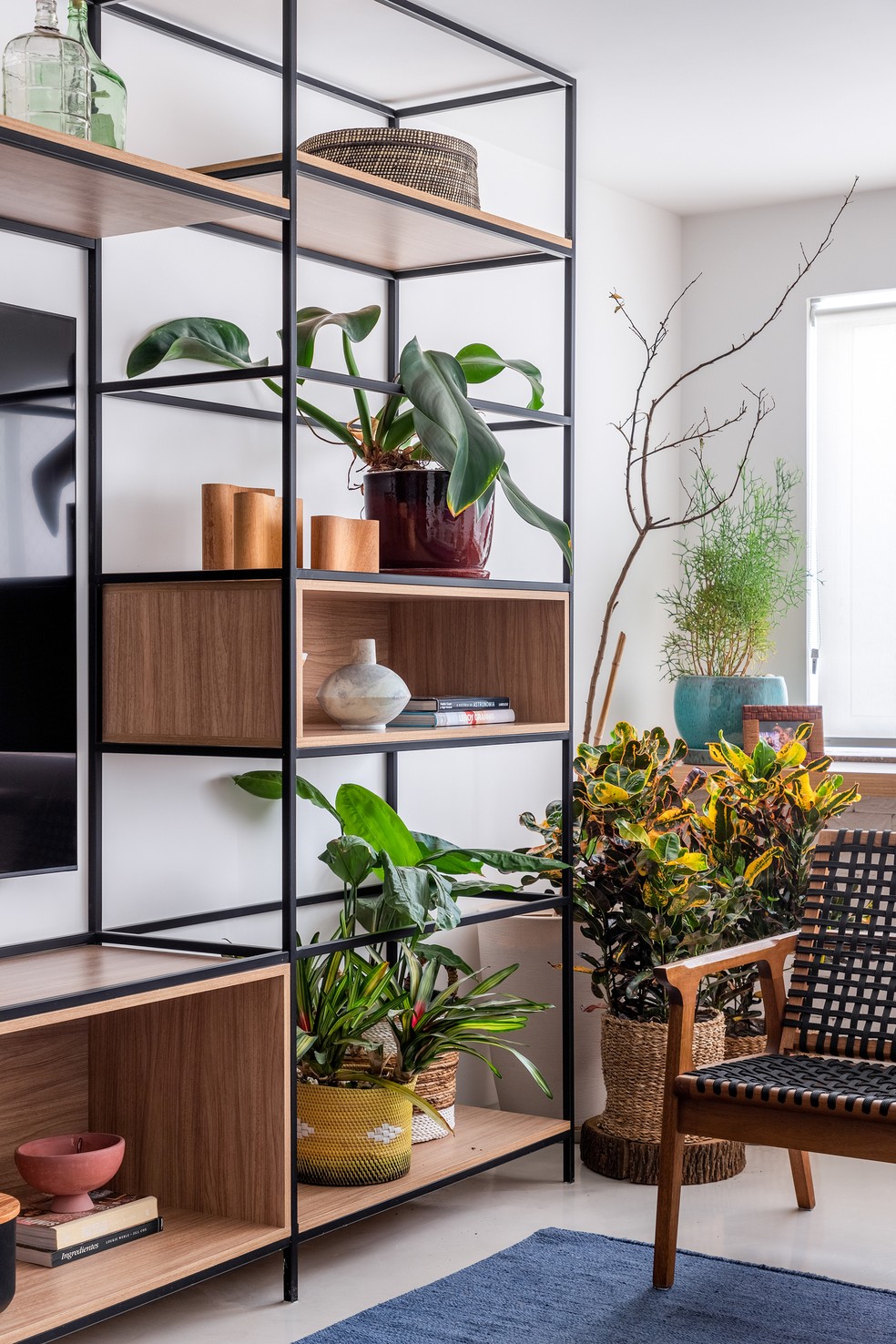 16 ideias de decoração com galhos secos para a sala