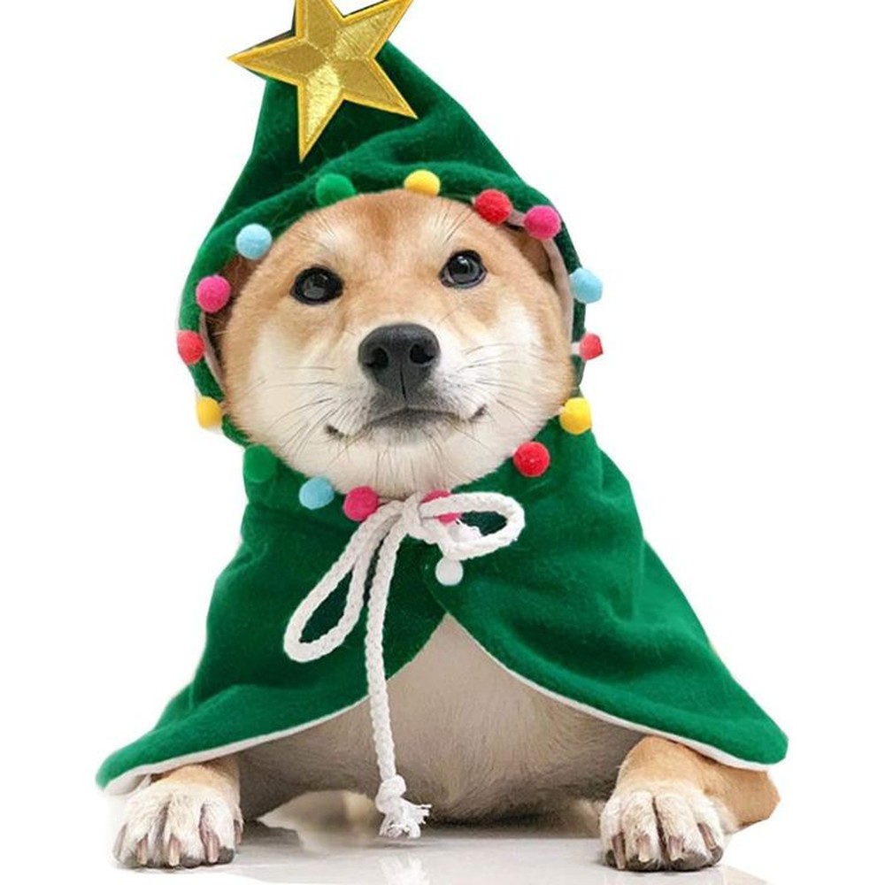 Fantasia de Natal para cachorro: como vestir o pet sem afetar o bem-estar