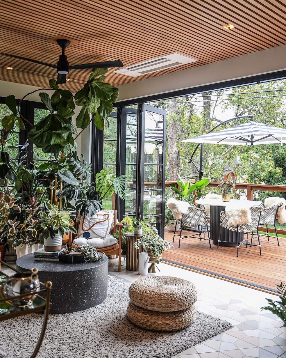 Designer cultiva 300 plantas em sua casa e incentiva a 'selva urbana'