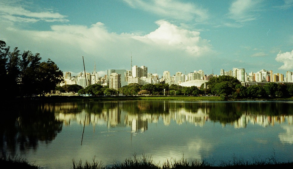 Parques, como o Ibirapuera, são fundamentais para o conforto térmico das cidades — Foto: Pexels / Jean Gois / Creative Commons