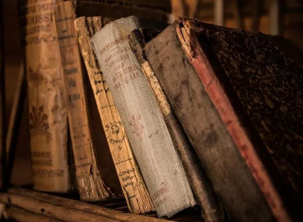 Para deixar as traças longe é importante evitar guardar livros e roupas muito velhas (Foto: Pixabay / Michal Jarmoluk / CreativeCommons) — Foto: Casa e Jardim