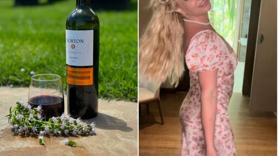 Argentinos correm para comprar vinho nacional após Britney Spears elogiá-lo nas redes sociais: "Lenda caridosa"
