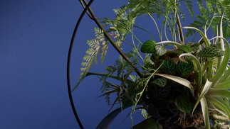 Para as mães que gostam de decoração e natureza, a FLO atelier botânico apresenta escultura botânica com orquídea phalaenopsis. O presente sai por R$ 1.450 — Foto: FLO atelier botânico / Divulgação