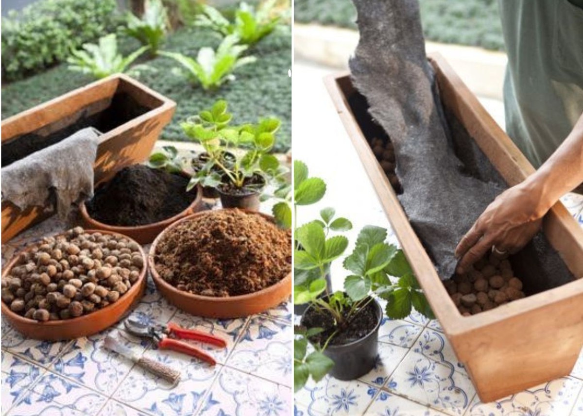 Vasos para plantas pequenas: como escolher o modelo ideal para cada ambiente 9 Image