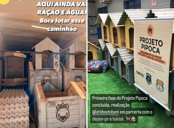 Detentos constroem casinhas para cachorros vítimas das enchentes do RS