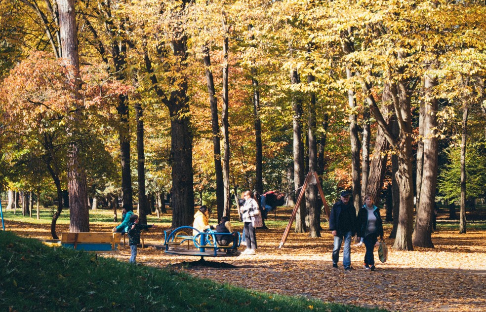 O desenvolvimento infantil também é beneficiado pelo contato com a natureza, que estimula a exploração, o aprendizado, a criatividade, o exercício físico e a interação social — Foto: Unsplash / Taras Chuiko / Creative Commons
