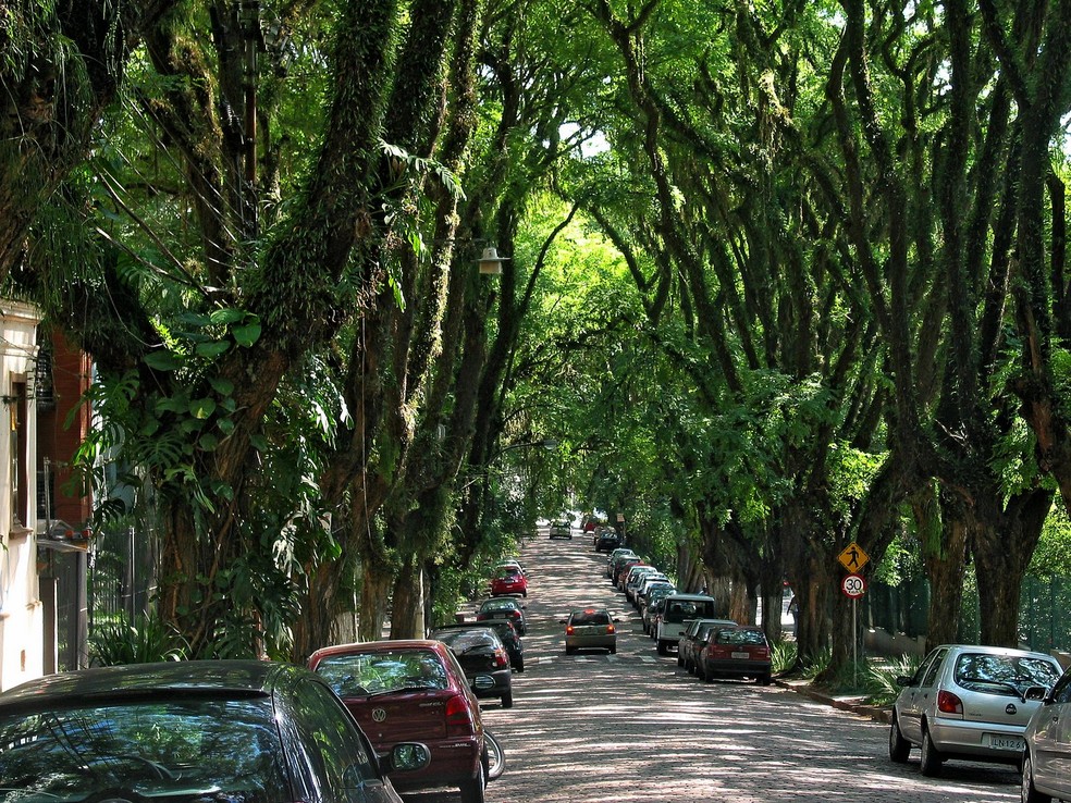 A rua porto-alegrense foi a primeira tombada como Patrimônio Ambiental e Ecológico no estado — Foto: Flickr / Amigos da Rua Gonçalo de Carvalho / Creative Commons