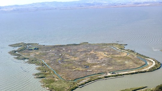 Ilha na Baía de São Francisco – onde bilionários atracavam seus iates de luxo– está à venda por R$ 374 milhões