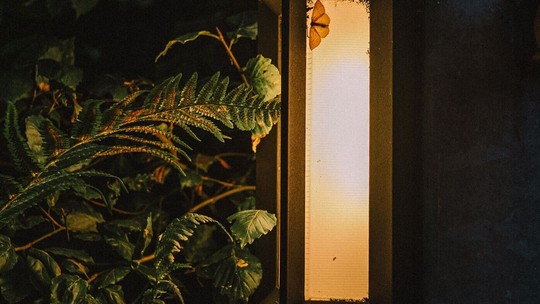 Mosquitos na luz de casa: o que são e descubra como evitá-los!