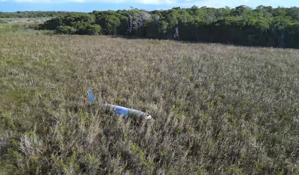 A aeronave estava escondida no meio da vegetação de um grande manguezal — Foto: YouTube / Fearless & Far / Reprodução