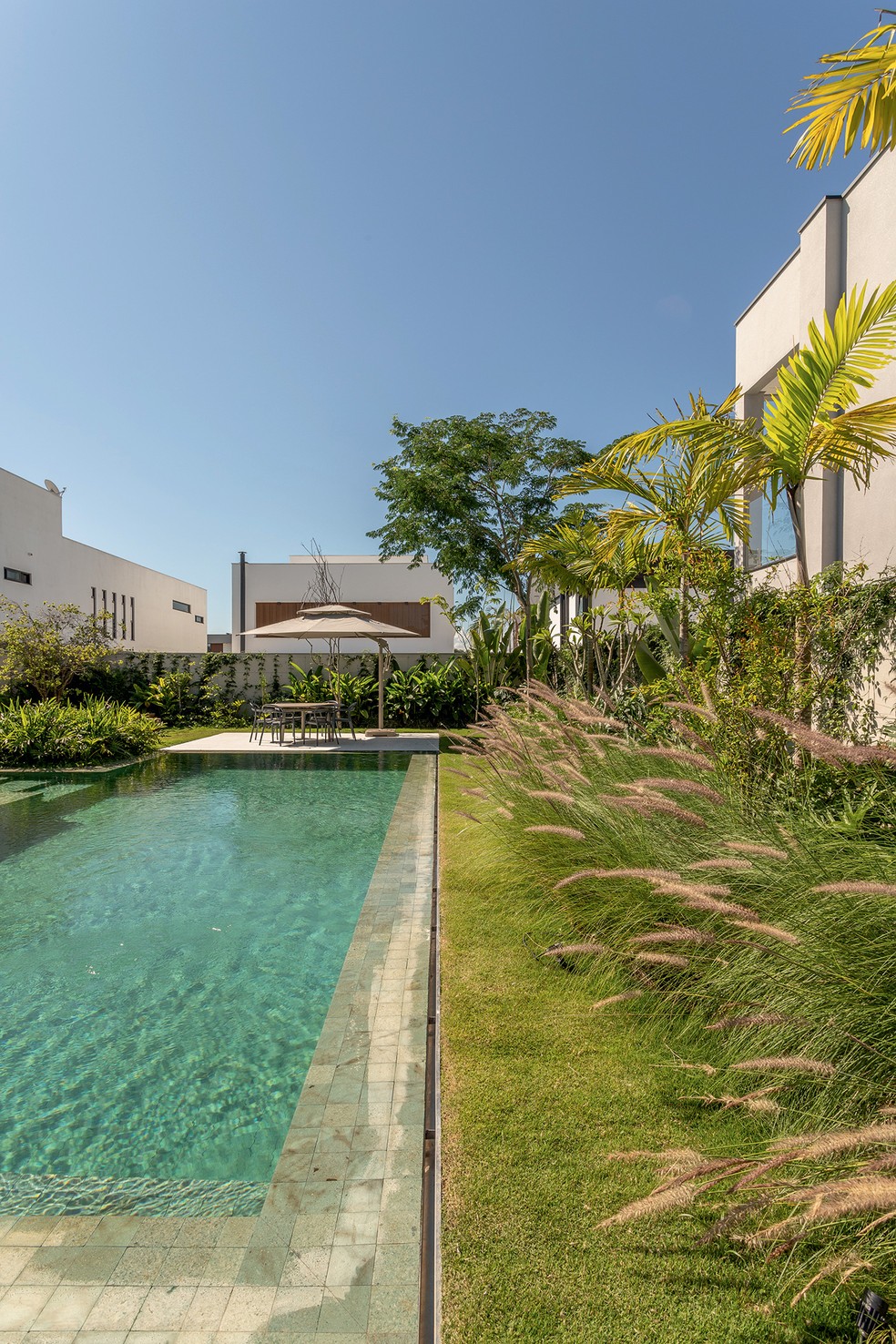 O canteiro da piscina tem capim-do-texas verde, palmeira veitchia e jasmim-dos-açores. Mais ao fundo, à direita, pau-brasil — Foto: Leandro Moraes / Divulgação