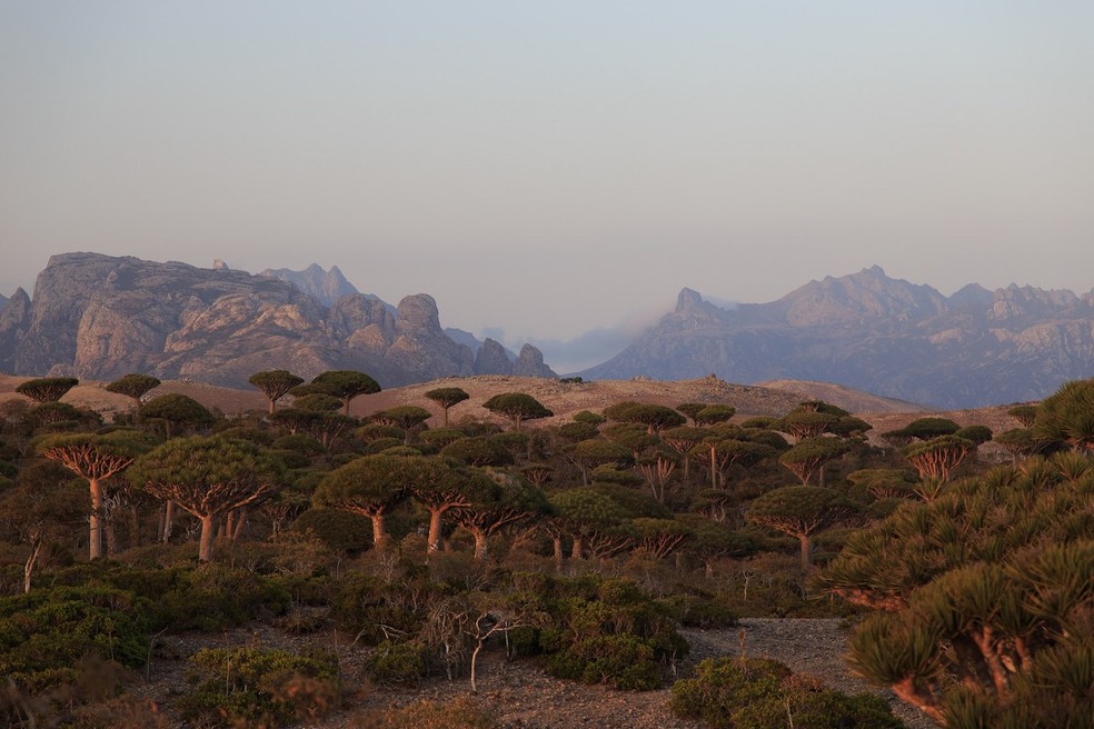 Formada há milhões de anos, a paisagem árida de Socotra cria um cenário enigmático — Foto: Wikimedia / Valerian Guillot