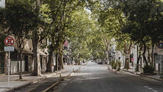 Arborização urbana: por que plantar árvores em calçadas?